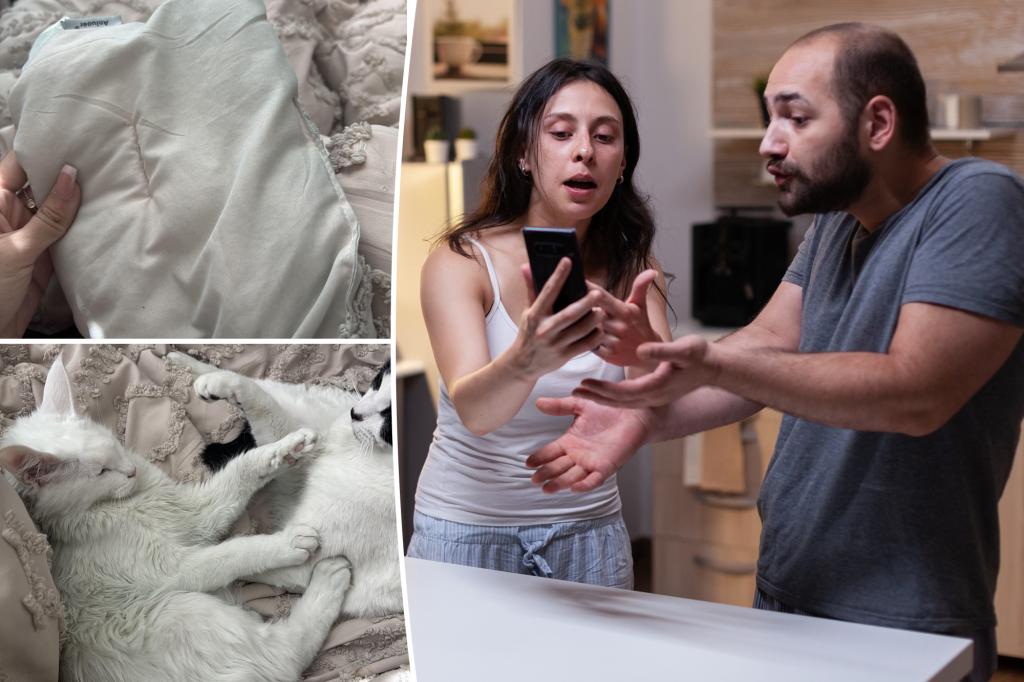 A woman learned about her husband's infidelity because of this mystery of home cleaning