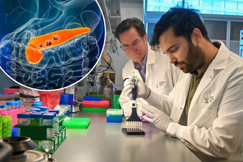 New Pancreatic Cancer Blood Test may improve treatment